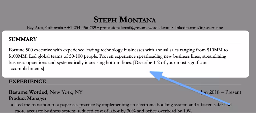 personal statement cv example 3 summary